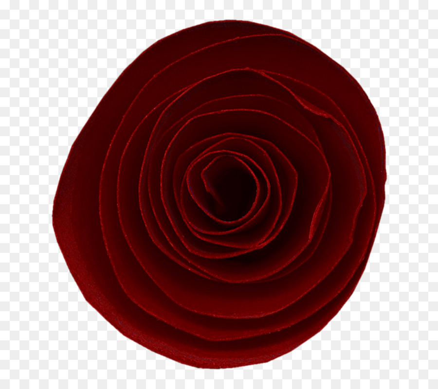 Rosa Vermelha，Florescer PNG