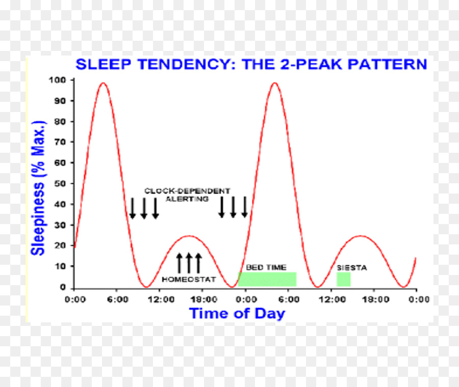 Gráfico De Padrões De Sono，Gráfico PNG