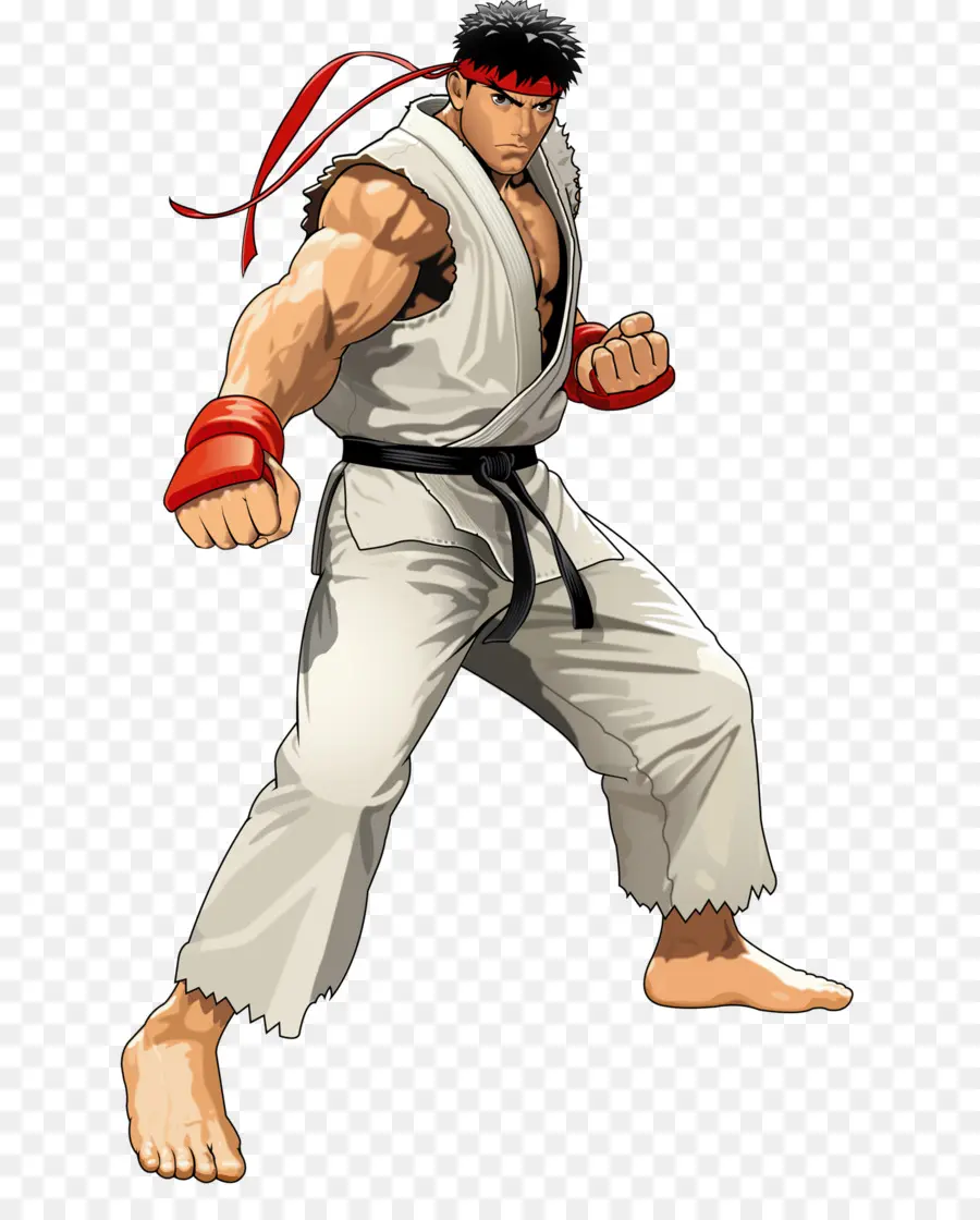 Street Fighter，Street Fighter Ii The World Warrior PNG