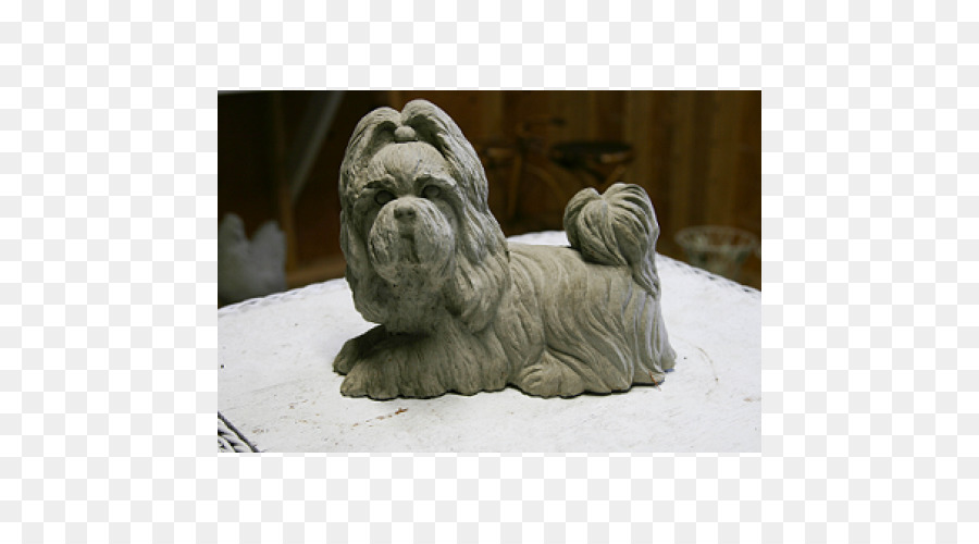 Lhasa Apso，Shih Tzu PNG