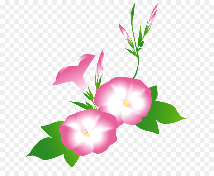 Flores Cor De Rosa，Folhas PNG