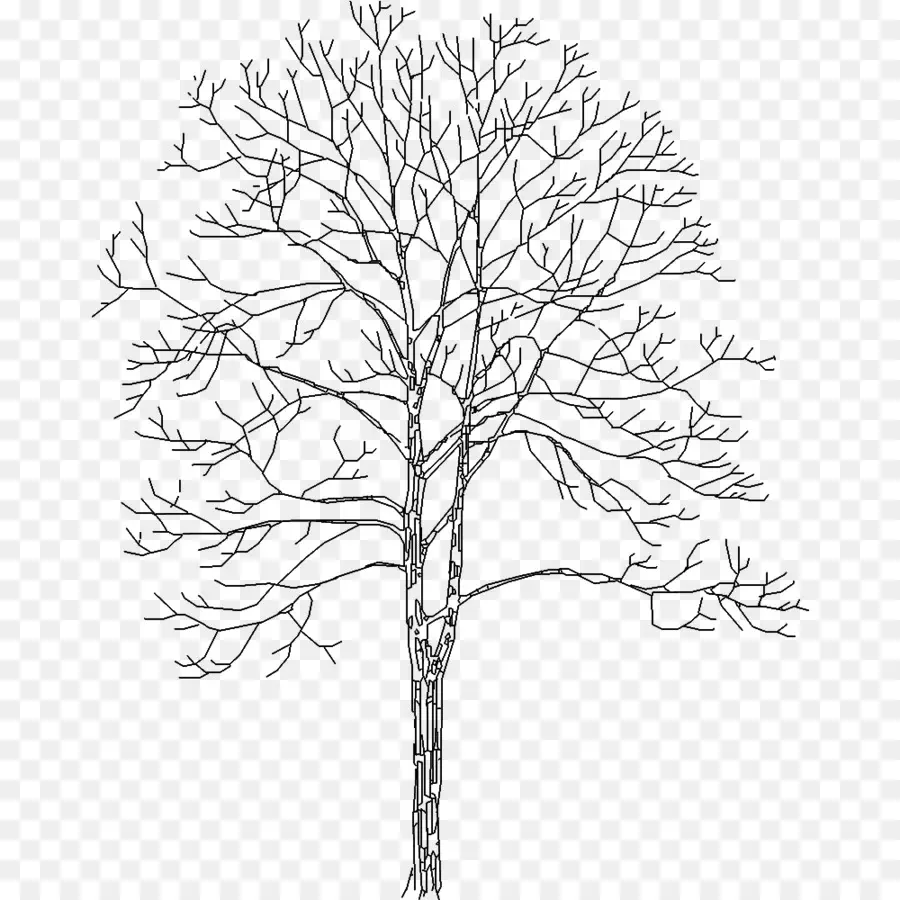 árvore，Dwg PNG