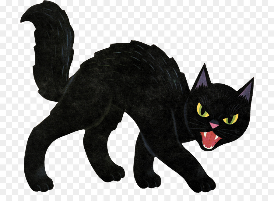 Gato Preto，Felino PNG