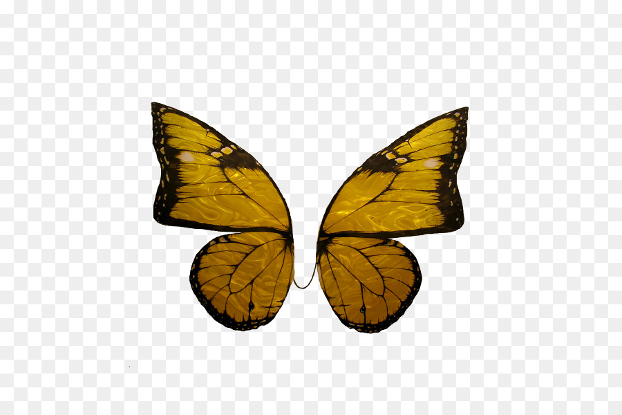 Borboleta，Amarelo PNG