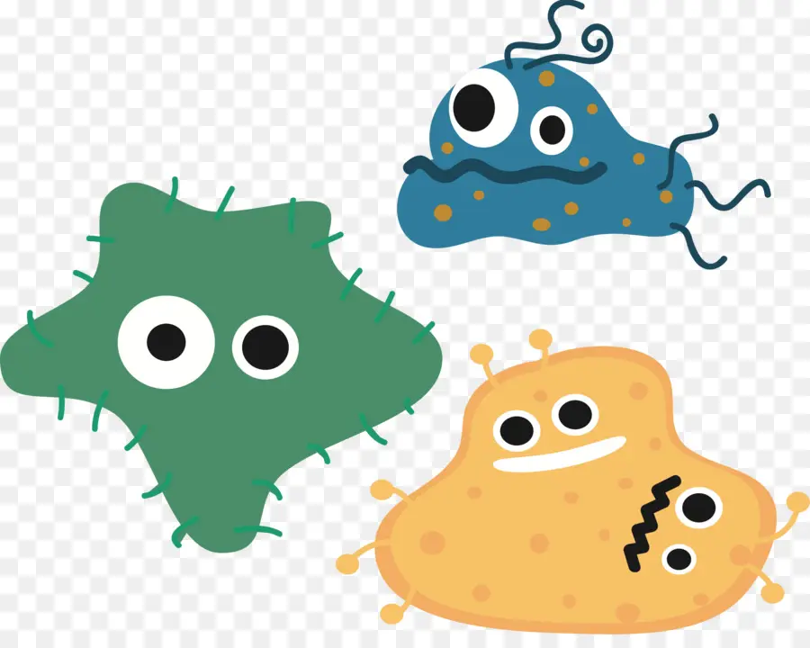 Bactérias，O Micro Organismo PNG