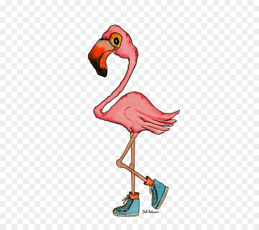 Flamingo，Pássaro PNG