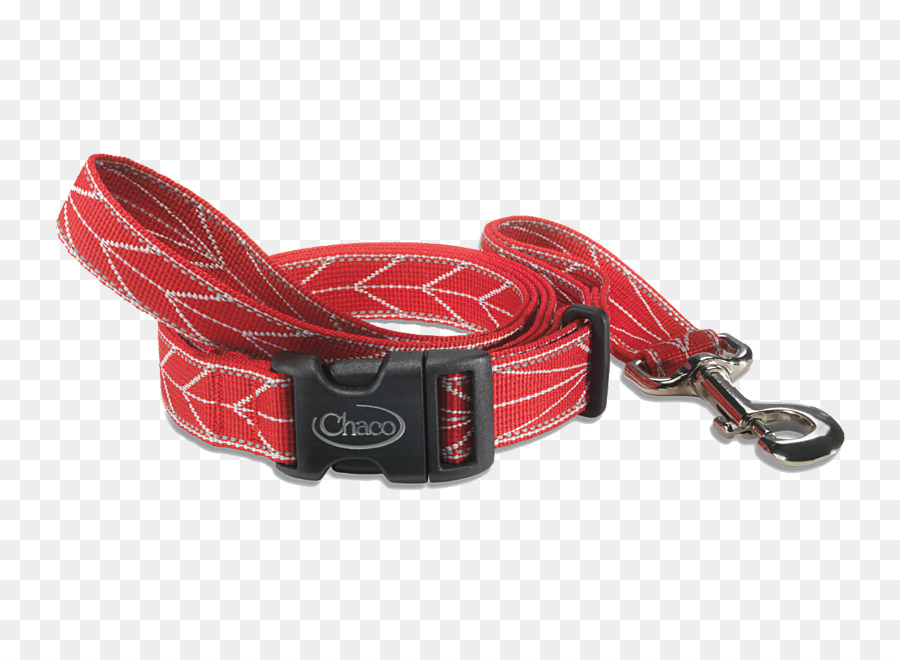 Leash，Coleira De Cão PNG