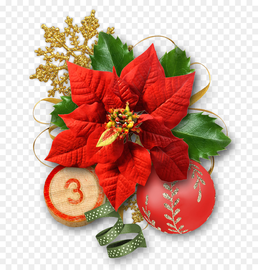 Design Floral，Enfeite De Natal PNG