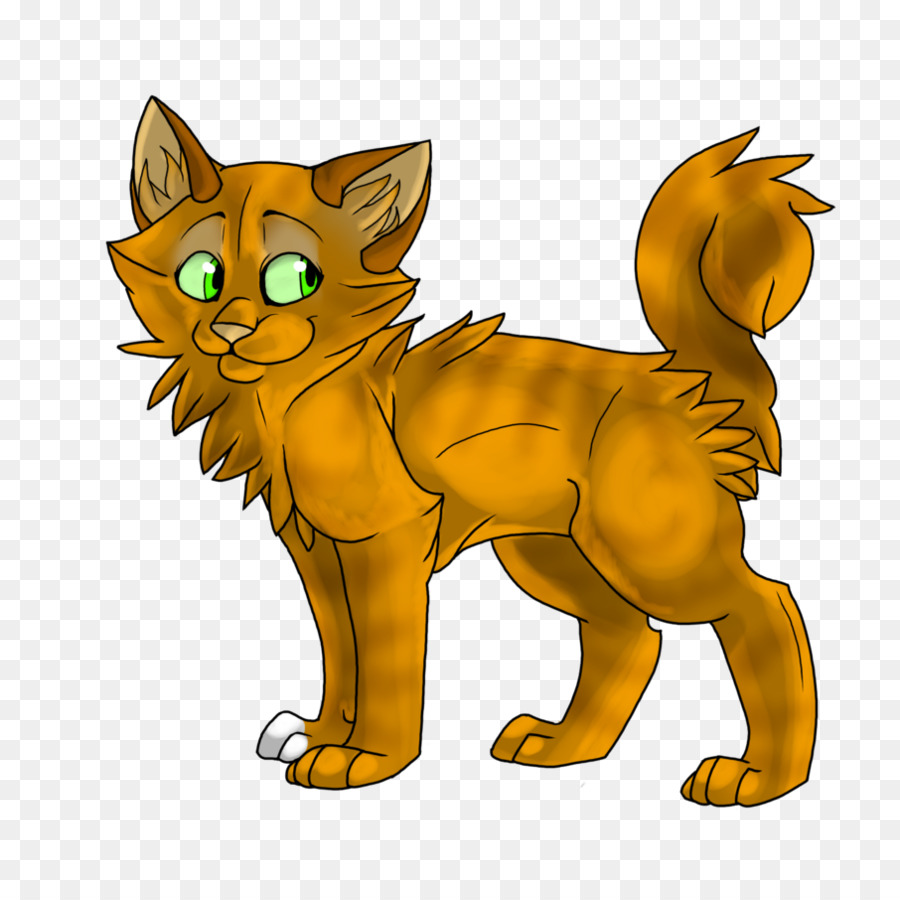 Gato，Felino PNG