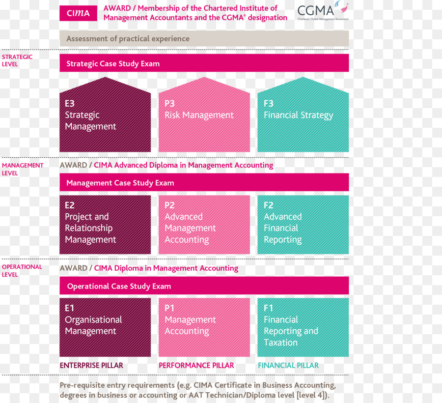 Chartered Institute Of Management Accountants，Teste PNG