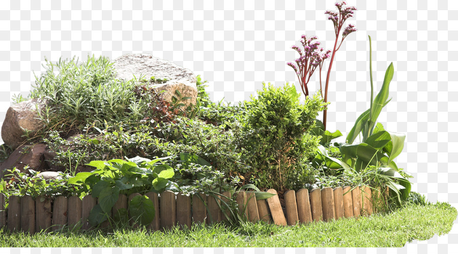 Jardim，Plantas PNG