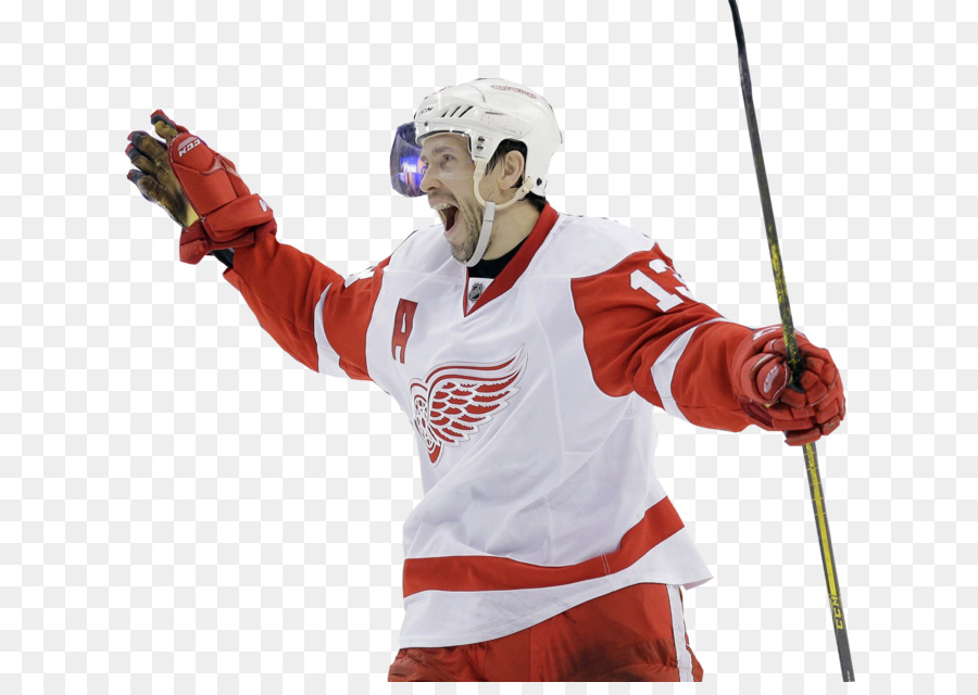 Liga Nacional De Hóquei，Detroit Red Wings PNG