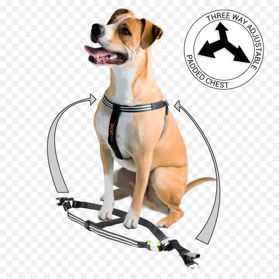 Arnês Para Cães，Ajustável PNG