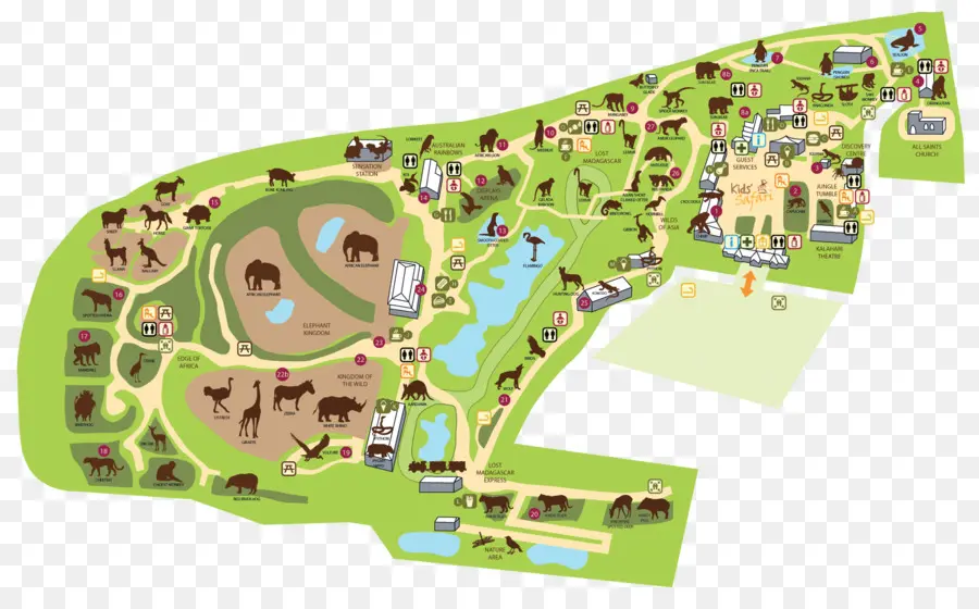 Mapa Do Zoológico，Animais PNG