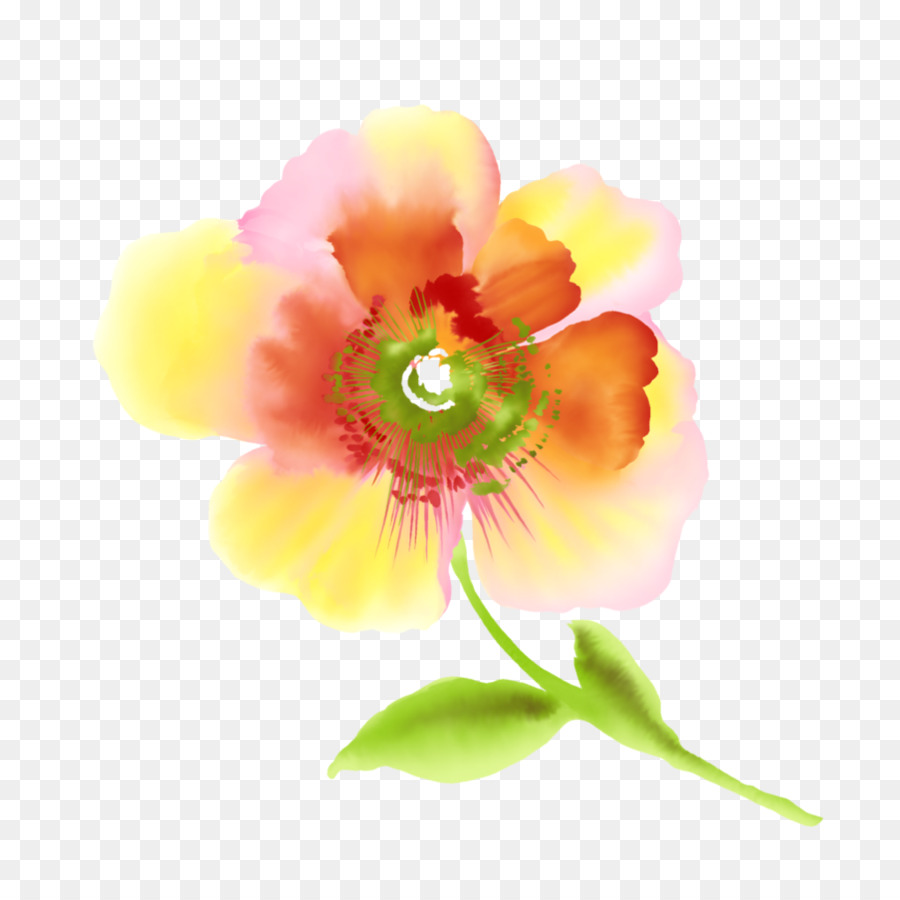 Flor Decorativa，Rosa PNG