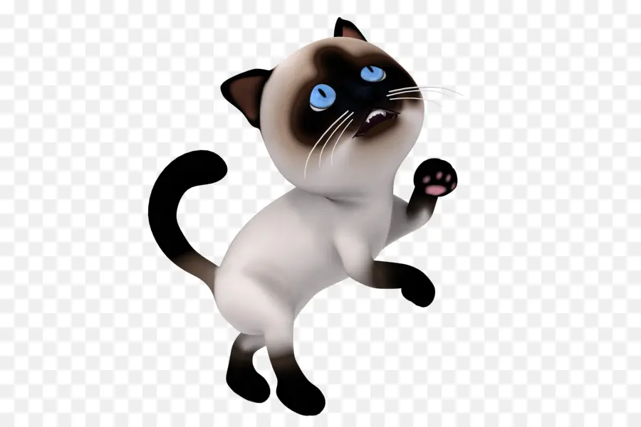 Gato De Desenho Animado，Bonitinho PNG