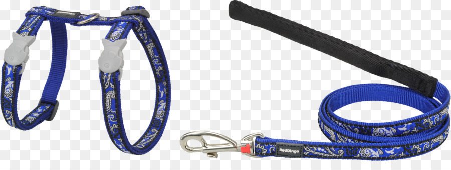 Leash，Carro PNG