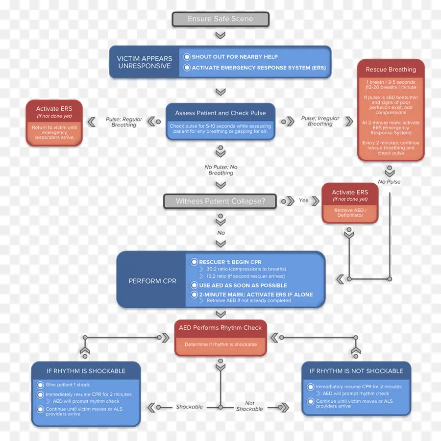 Fluxograma De Rcp，Emergência PNG