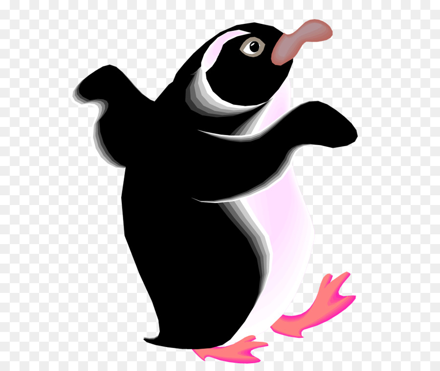 Pinguim，Pássaro PNG