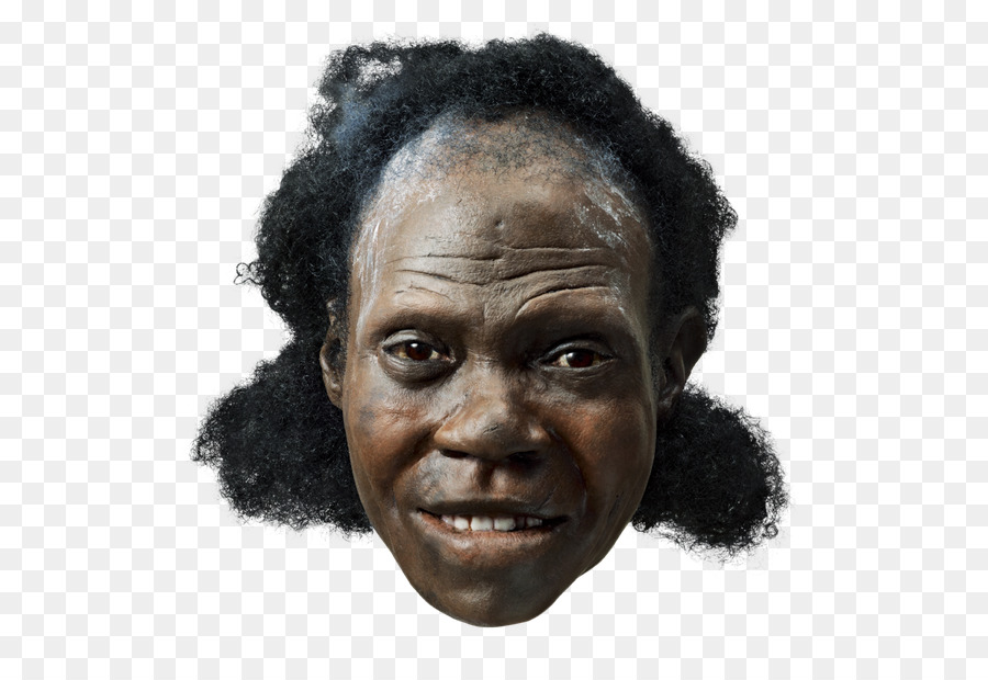 Humano Pré Histórico，Ancestral PNG