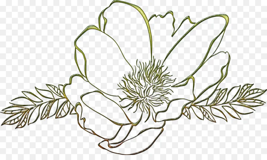 Desenho De Flor，Arte Linear PNG