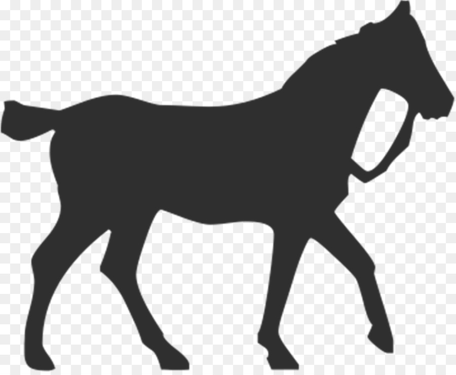 Cavalo Preto，Cavalo PNG