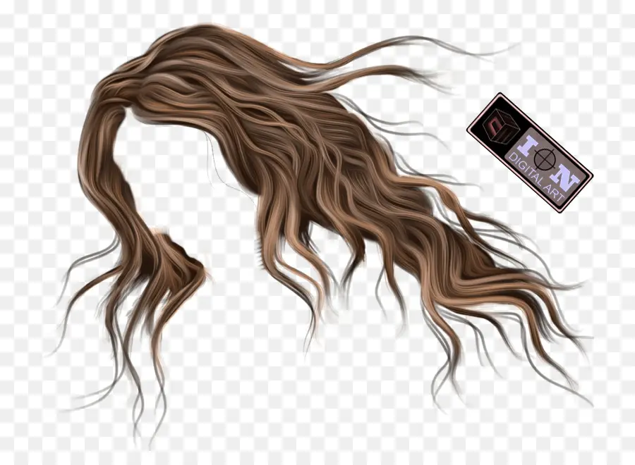 Cabelo，Marrom PNG