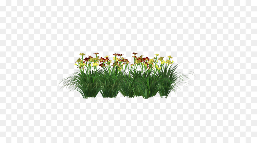 Gramíneas，Flowerpot PNG