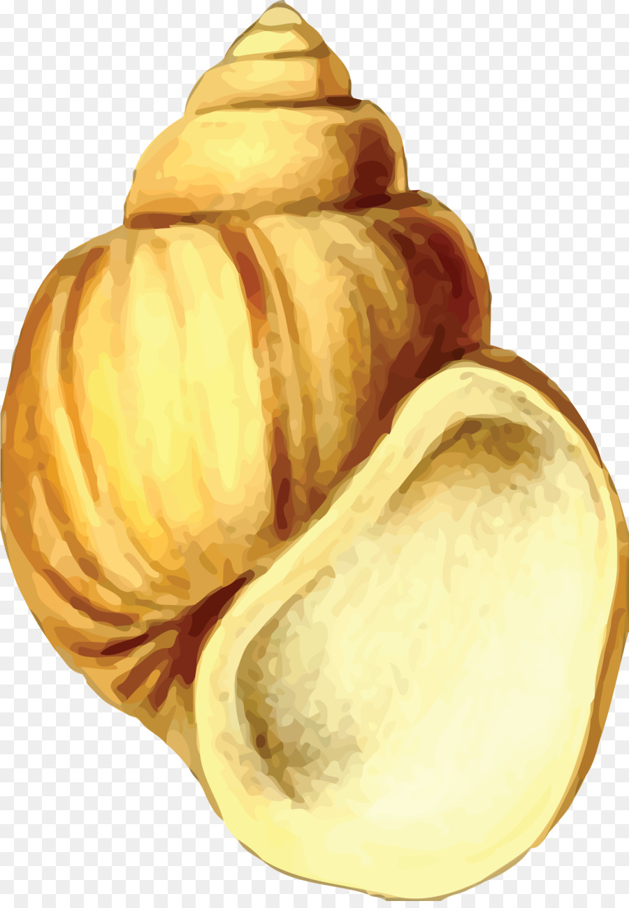 Concha Amarela，Concha PNG