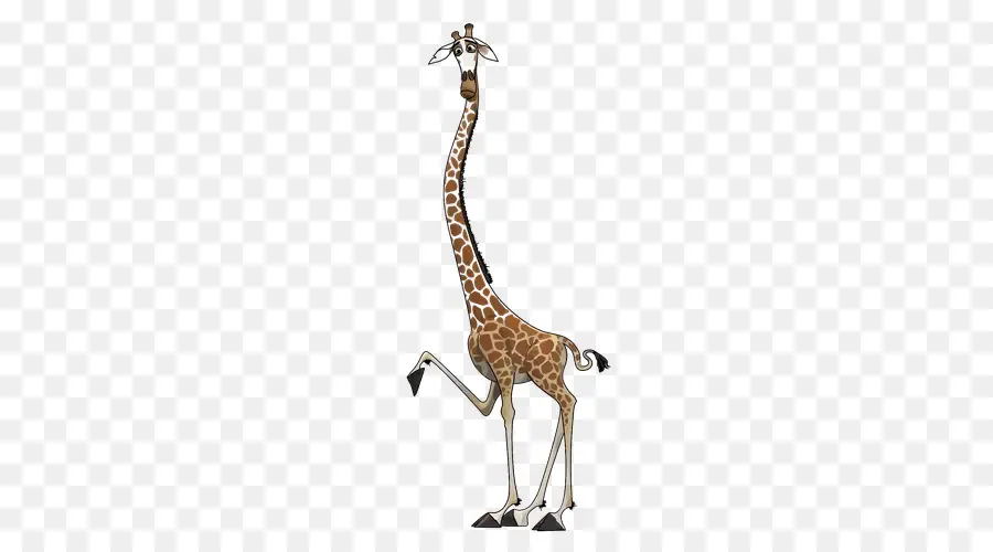 Girafa，Alto PNG