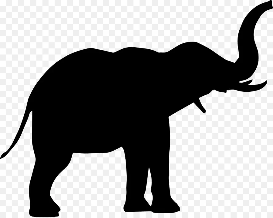 Elefante Africano，Elefante PNG