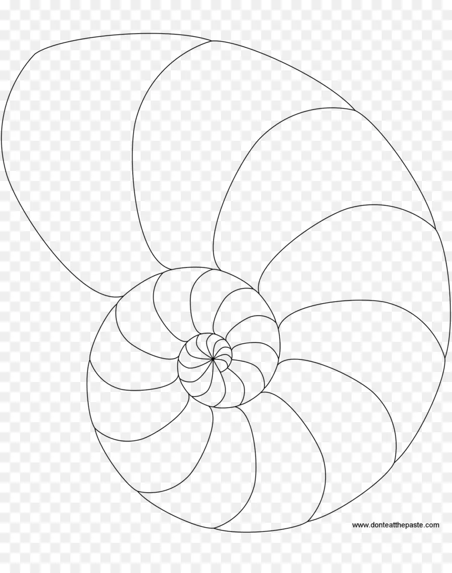 Concha Do Nautilus，Espiral PNG