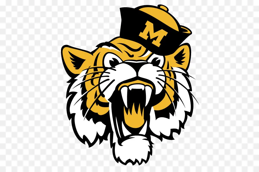 Universidade De Missouri，Missouri Tigers Futebol PNG