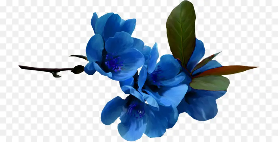 Azul，Flor PNG