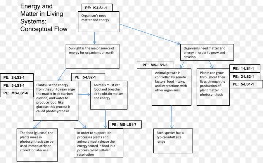 Fluxograma Conceitual，Diagrama PNG