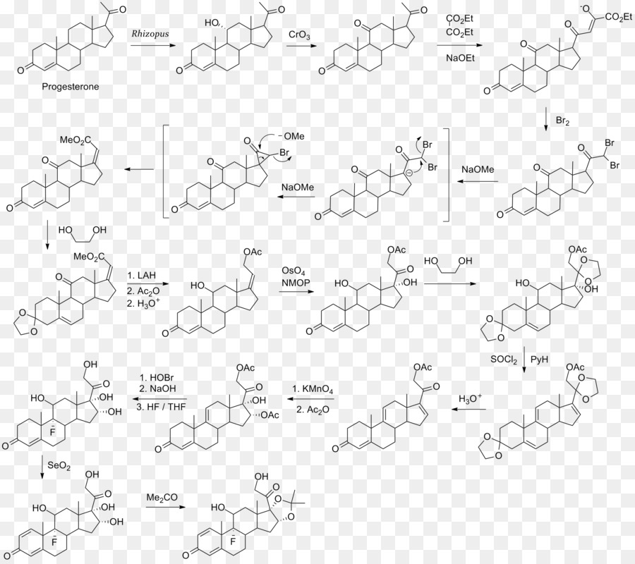 Estrutura Química，Molécula PNG