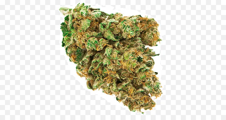 Cannabis，Bud PNG