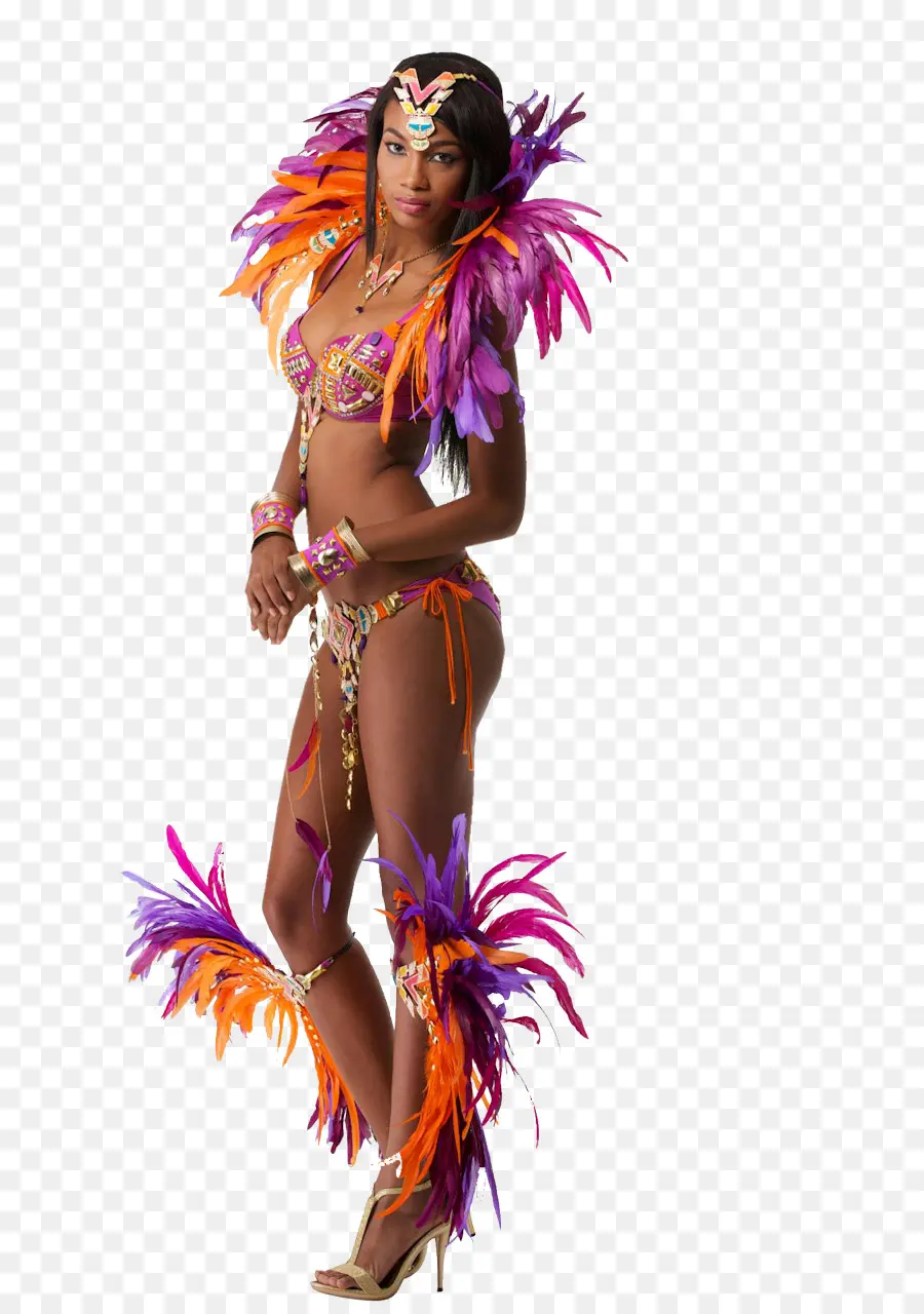 Carnaval，Carnaval No Rio De Janeiro PNG