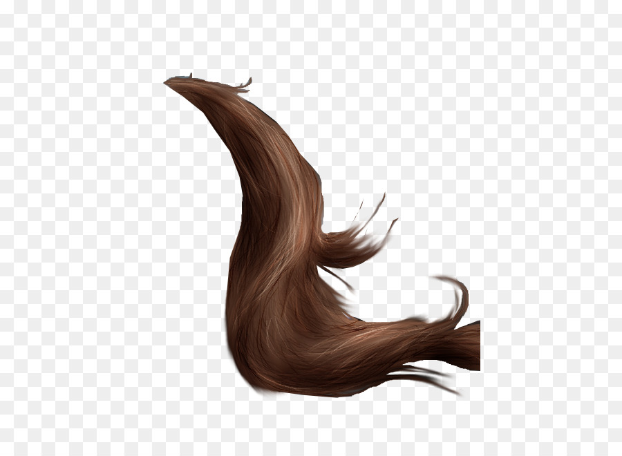 Cabelo Castanho，Fio PNG