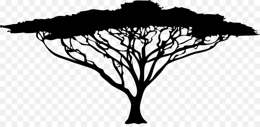 Africana árvores，árvore PNG