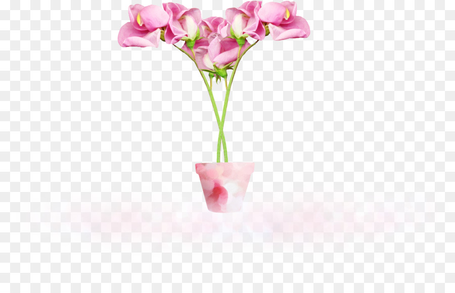 Flores Rosa，Florescer PNG