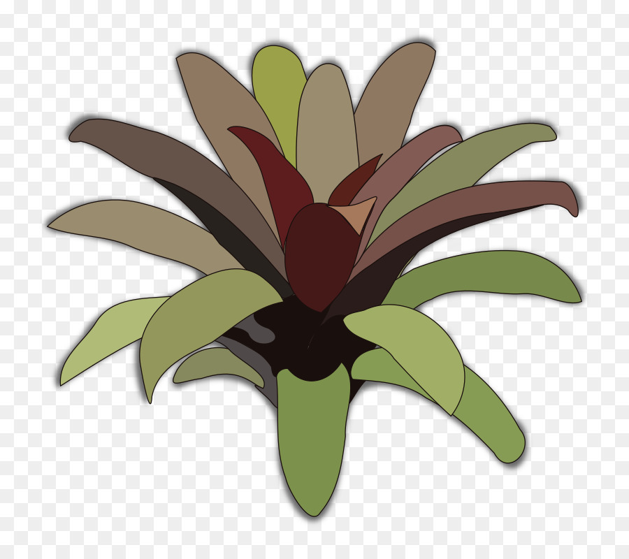 ícones Do Computador，Bromelia PNG