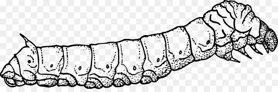 Lagarta，Larva PNG