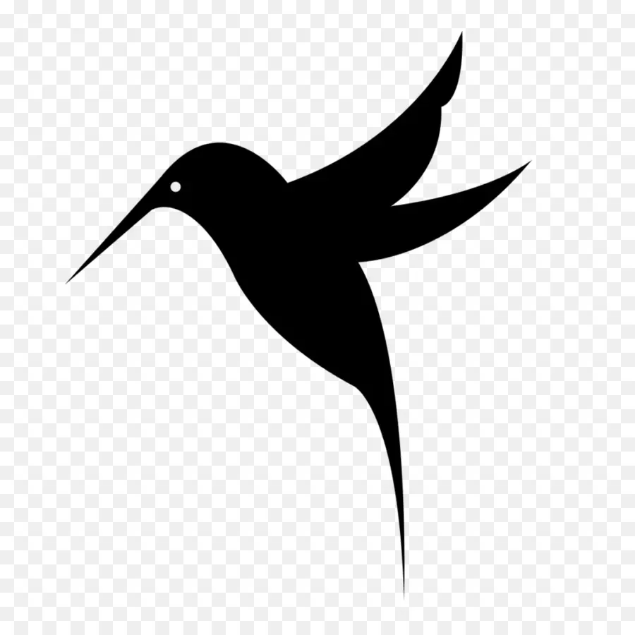 Colibri，Natureza PNG