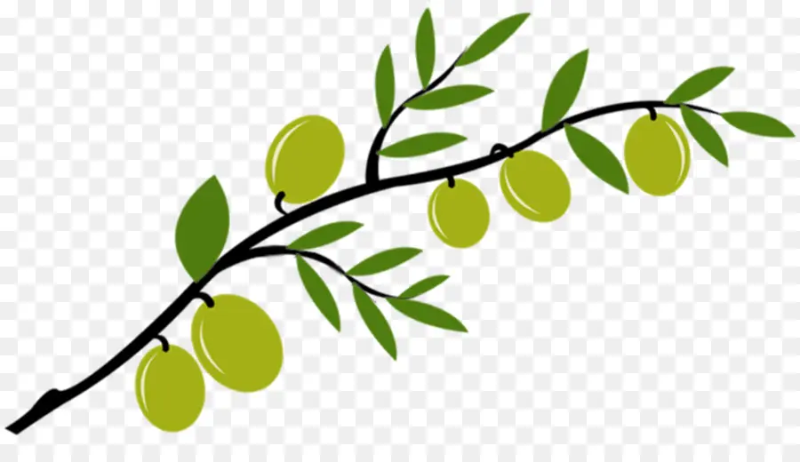 Azeite De，Olive Branch PNG