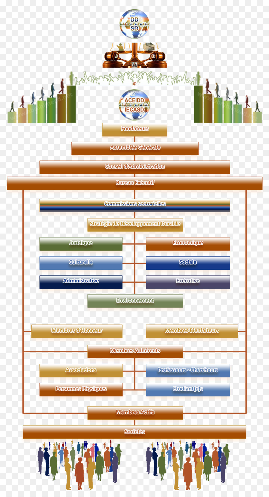 Gráfico Organizacional，Associação De Voluntários PNG