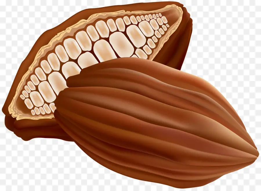 Praline，Chocolate PNG