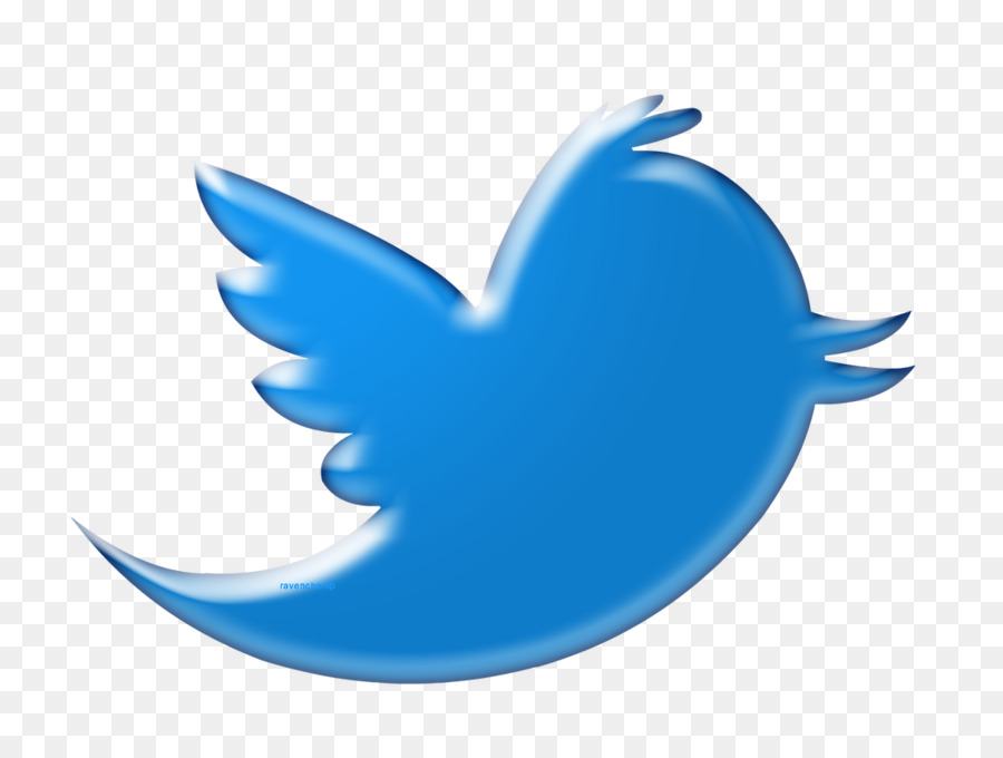 Logotipo Azul Do Twitter，Mídias Sociais PNG