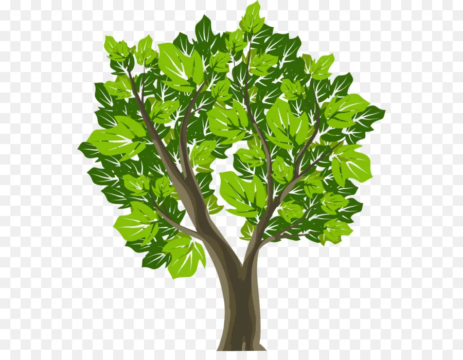 árvore，Símbolo PNG
