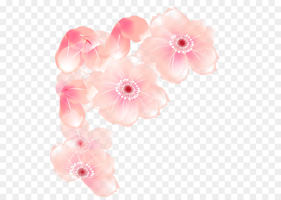 Flores，Florescer PNG